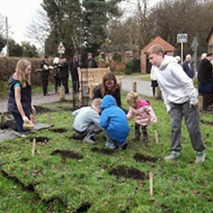 Bulb planting November 2014