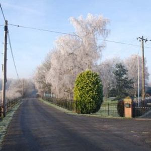 Frosty Morning