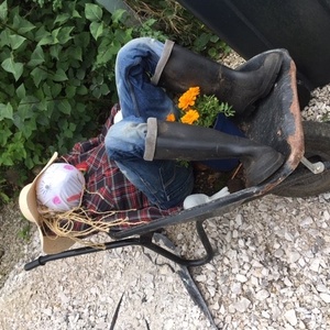 Scarecrow display - barrow lad