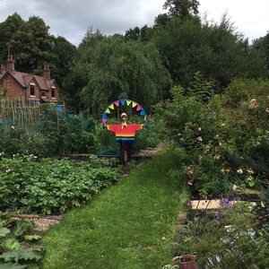 Scarecrow on Shipley Allotment Site