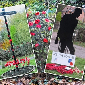 Shipley Field of Poppies