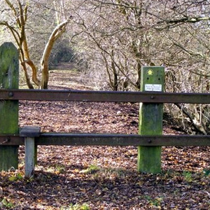 Stile onto the Bentley Plantation