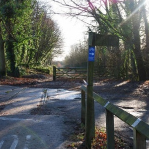 The old railway cutting